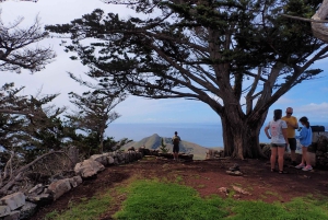 Porto Santo: Terra Chã ja Pico Branco -vaellusretki