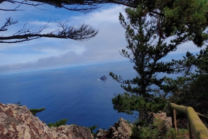 Porto Santo: Terra Chã ja Pico Branco -vaellusretki