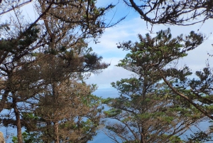 Porto Santo: Terra Chã ja Pico Branco -vaellusretki