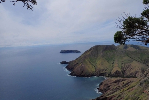 Porto Santo: Terra Chã ja Pico Branco -vaellusretki