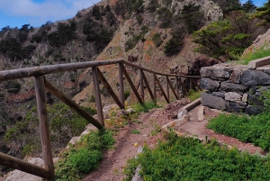 Porto Santo: Terra Chã ja Pico Branco -vaellusretki