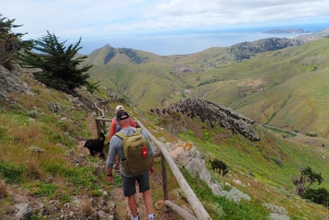 Porto Santo: Terra Chã ja Pico Branco -vaellusretki