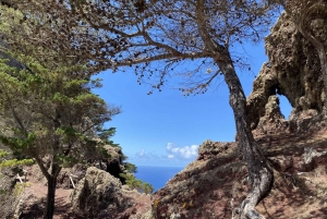 Porto Santo – UNESCOn biosfäärialue – Opastettu kävelykierros