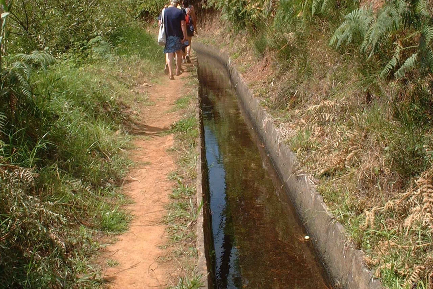 Prazeres: Natuurwandeling van een hele dag