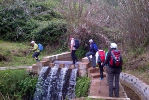 Prazeres: Full-Day Nature Walk