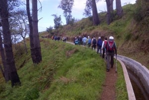 Prazeres: Full-Day Nature Walk