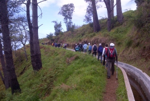 Prazeres: Natuurwandeling van een hele dag