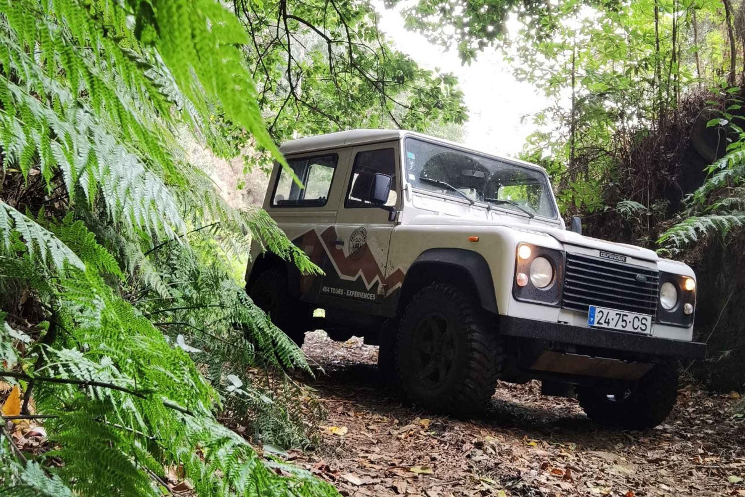 Priv. Väst: 4x4-tur|Seixal Beach|Porto Moniz naturliga pooler|