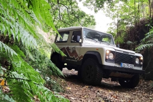 Priv. Väst: 4x4-tur|Seixal Beach|Porto Moniz naturliga pooler|