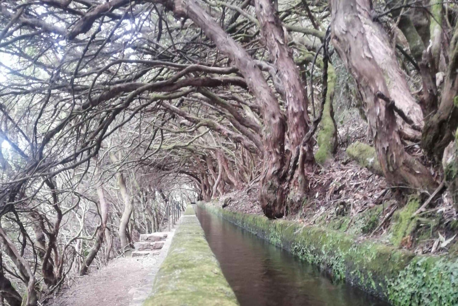 Private - 25 Fontes and Risco Waterfall Guided Tour