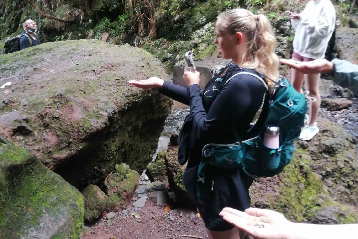 Private - 25 Fontes and Risco Waterfall Guided Tour