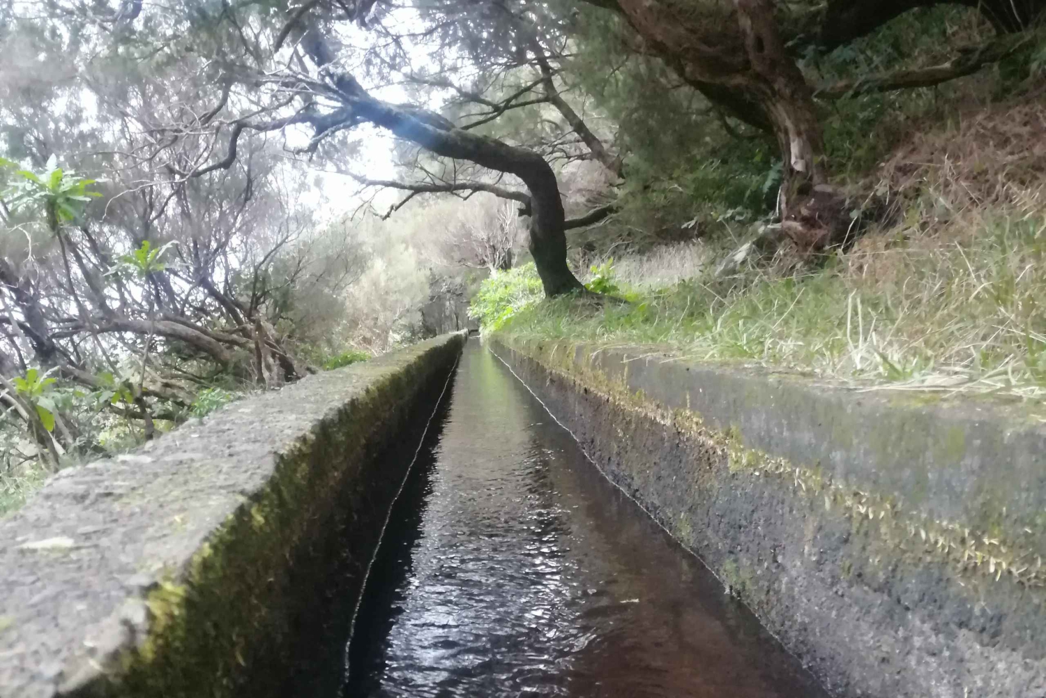 Private - 25 Fontes and Risco Waterfall Guided Tour