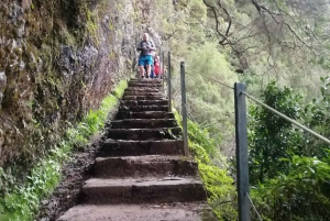 Private - 25 Fontes and Risco Waterfall Guided Tour