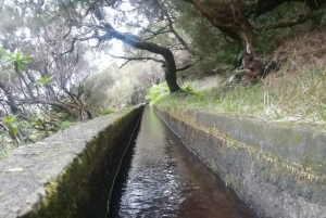 Private - 25 Fontes and Risco Waterfall Guided Tour