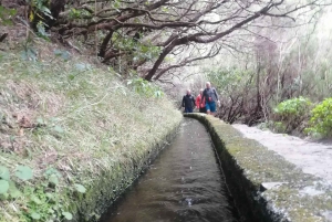 Private - 25 Fontes and Risco Waterfall Guided Tour