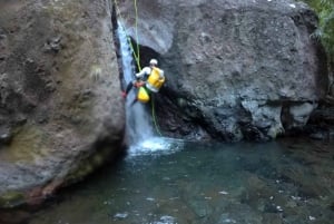 Canyoning tour: Private/Small group