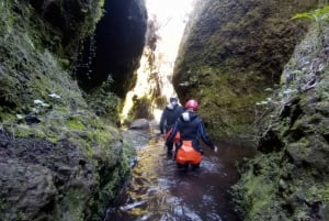 Canyoning tour: Private/Small group