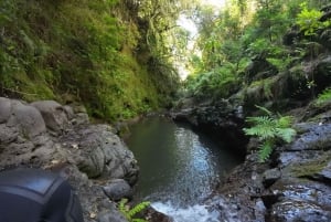 Canyoning tour: Private/Small group