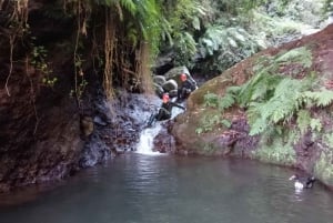 Canyoning tour: Private/Small group