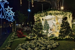 Tour privato delle luci di Natale a Madeira Est