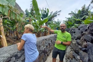 Private - Gastro Hike with Levada Walk and Local Food