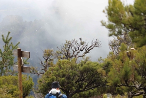 Privat - Gastro-Wanderung mit Levada Walk und lokalem Essen