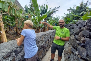 Privat - Gastro-Wanderung mit Levada Walk und lokalem Essen