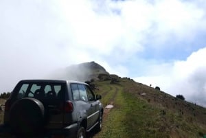 Private Half-Day Tour of Funchal Sky to Sea