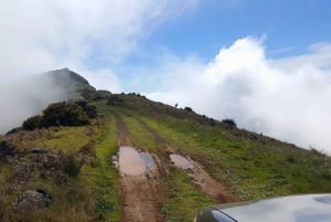 Private Half-Day Tour of Funchal Sky to Sea