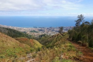 Private Half-Day Tour of Funchal Sky to Sea