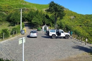 Private Half-Day Tour of Wine Fields