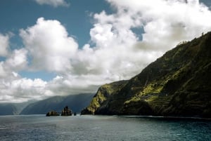 Madeira Private Premium Eco-Friendly Tour in Electric Car