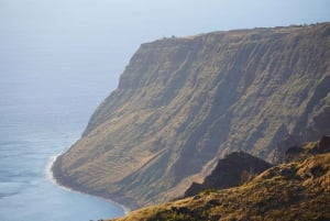 Madeira Private Premium Eco-Friendly Tour in Electric Car