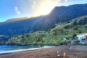 Privat heldagstur til Madeiras højdepunkter