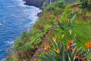 Privat heldagstur til Madeiras højdepunkter