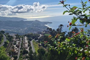 Privat heldagstur til Madeiras højdepunkter