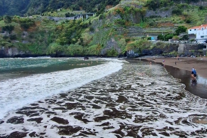 Privat heldagstur til Madeiras højdepunkter