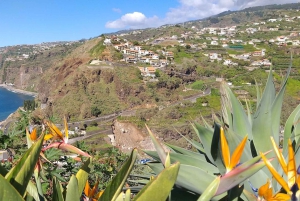 Minibus privé 8 places.