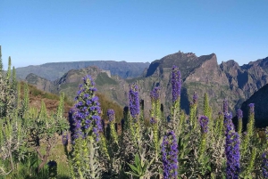 Minibus privé 8 places.