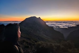 Private Sunrise Hike to Pico Ruivo with Hotel Pickup