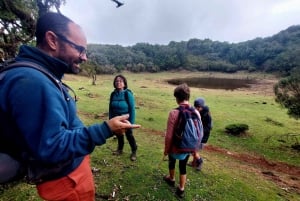 Private Sunrise Hike to Pico Ruivo with Hotel Pickup