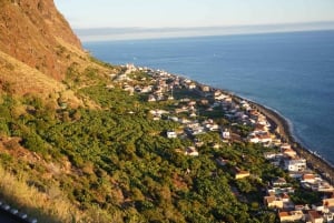 Madeira Private Premium Eco-Friendly Tour in Electric Car