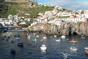 プライベートツアー、港無料ピックアップ、スカイウォーク＆天然溶岩プール