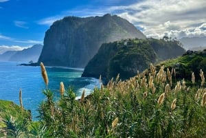 Private Tour on Madeira Island