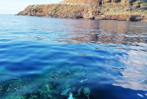 Private tour | Ponta de São Lourenço (Scuba & Snorkeling)