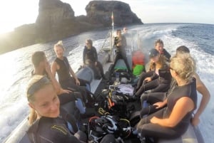 Private tour | Ponta de São Lourenço (Scuba & Snorkeling)