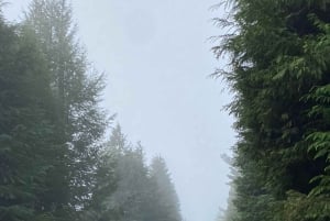 Yksityinen Vespa-länniläinen retki – Seixal, São Vicente, Porto Moniz (4 tuntia)