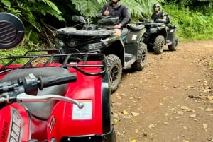 Madeira: Quad Bike Off-road Experience