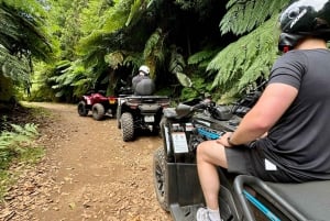 Madeira: Quad Bike Off-road Experience