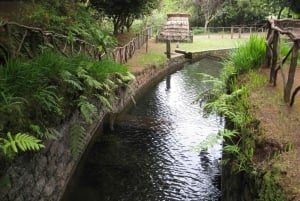 Queimadas Caldeirao Verde Full day hike